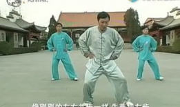 太极拳教学视频