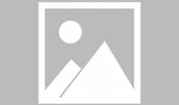 娱乐圈吃瓜小说书名,瓜田里的秘密花园